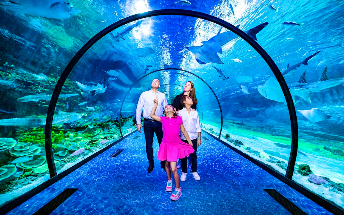 The National Aquarium Abu Dhabi Ticket Discount